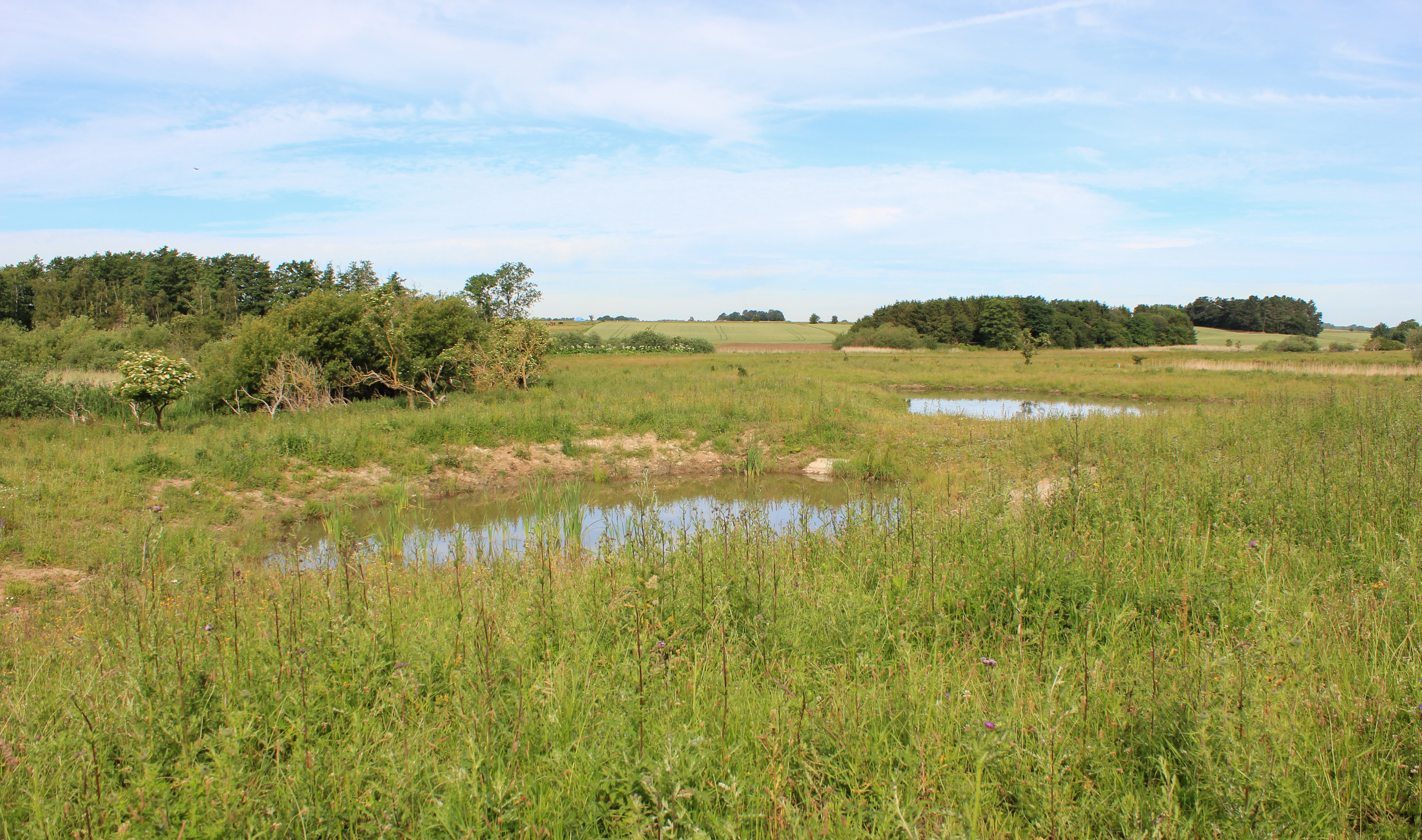 Billede af en byggegrund 